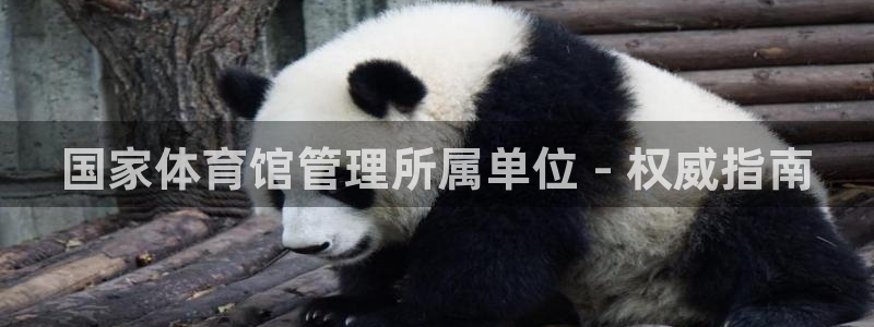 必一体育下载义：国家