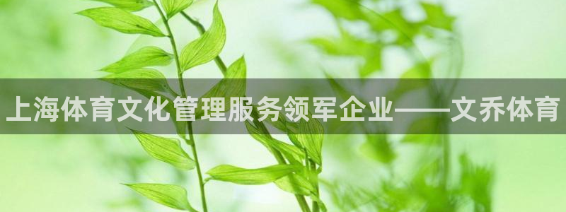 必一运动·体育：上海